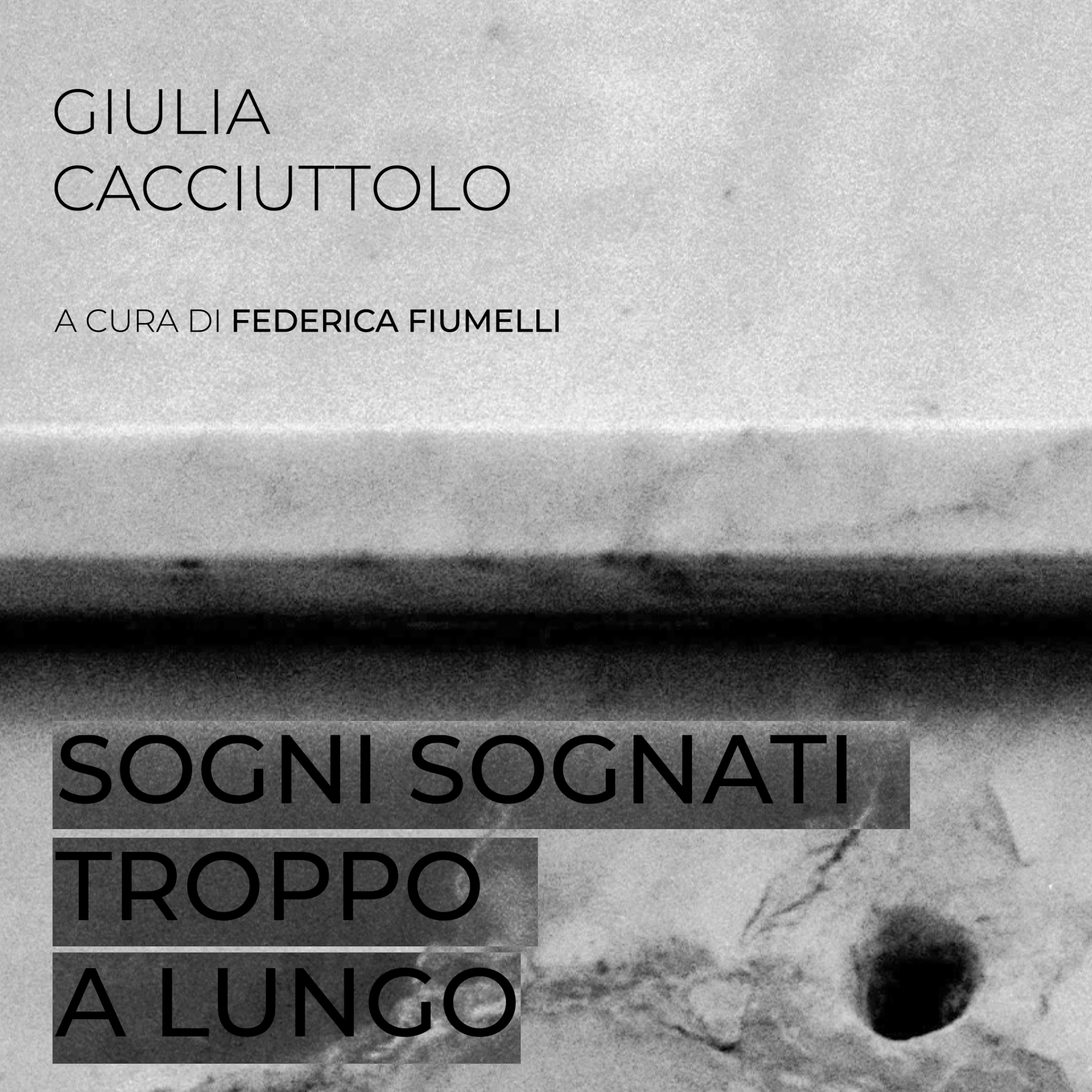 sogni sognati troppo a lungo giulia cacciuttolo